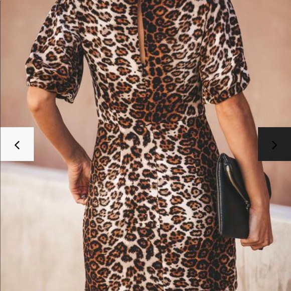 ❤️NEW Animal print Dress - Picture 6 of 8